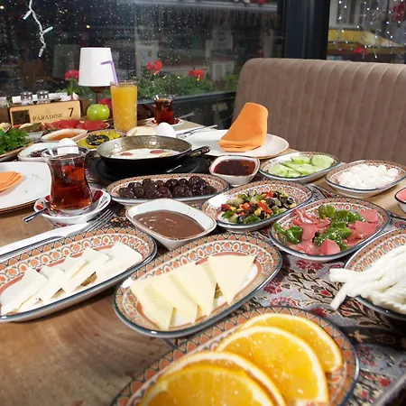 La Vida Old فندق