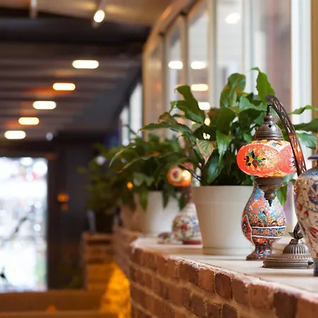 Hotel La Vida Old 2*